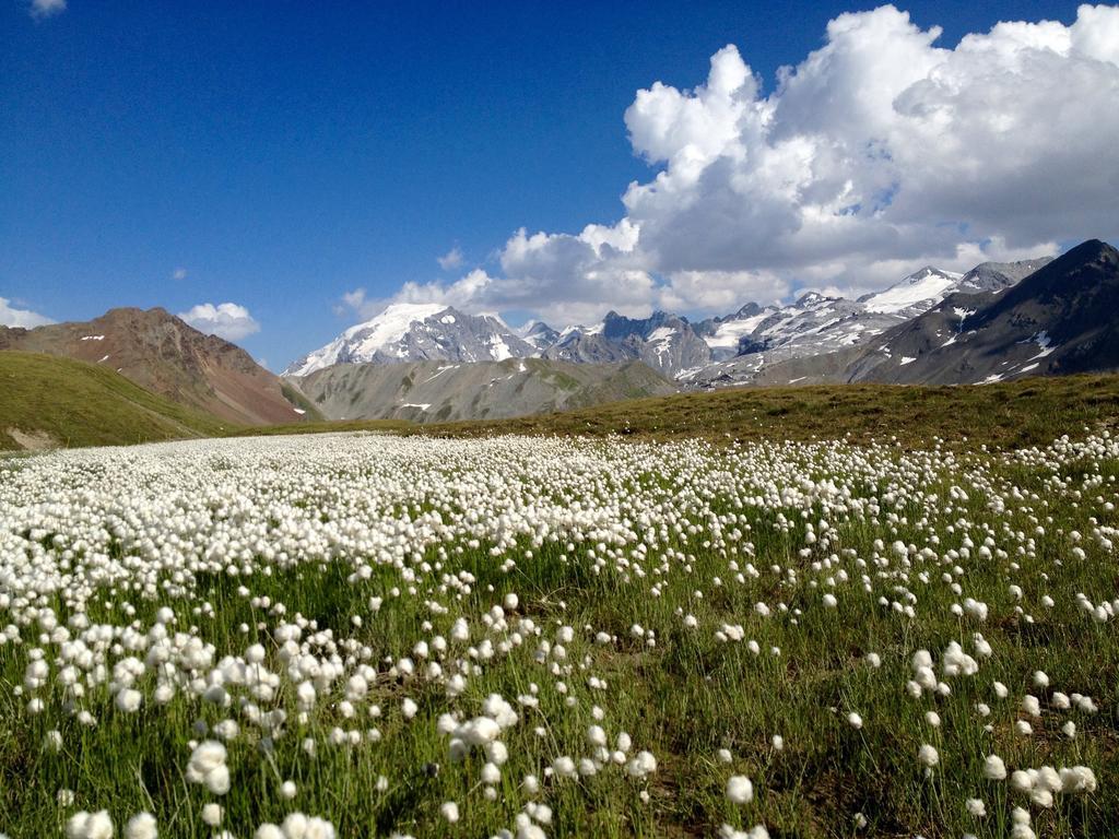 Albergo Quarto Pirovano Passo Stelvio Exteriér fotografie